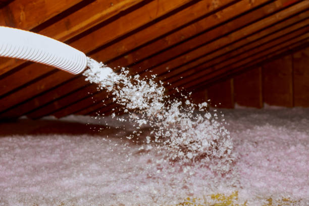 Best Geographic-Specific Insulation Services in South Beloit, IL