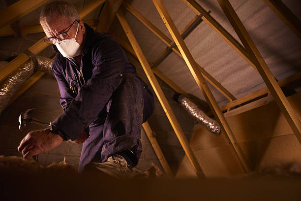Best Spray Foam Insulation in South Beloit, IL