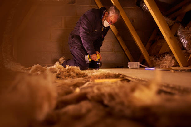 Types of Insulation We Offer in South Beloit, IL